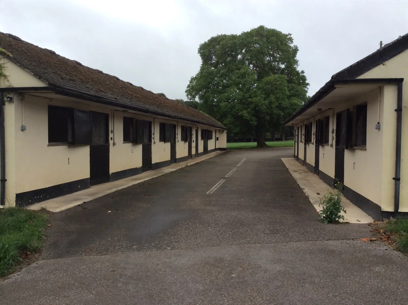 Horse Stables